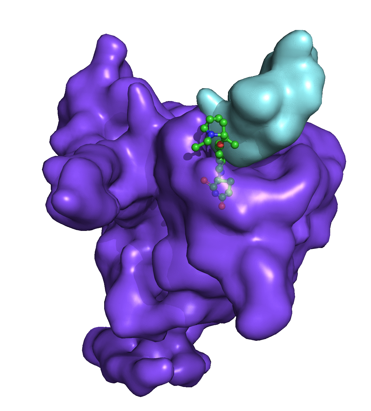 Protein structure and molecular visualization